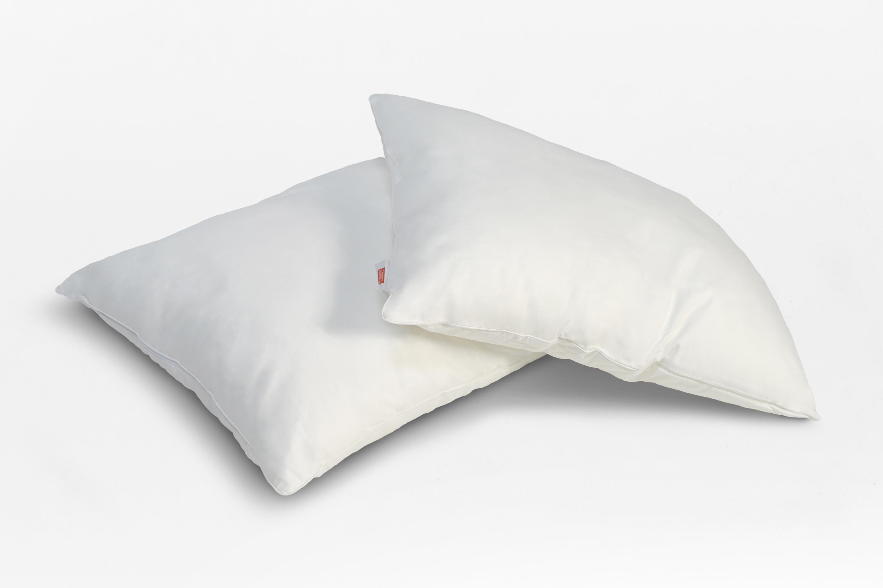 Basic Kussen Zydante® 2-pack