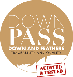 DOWNPASS